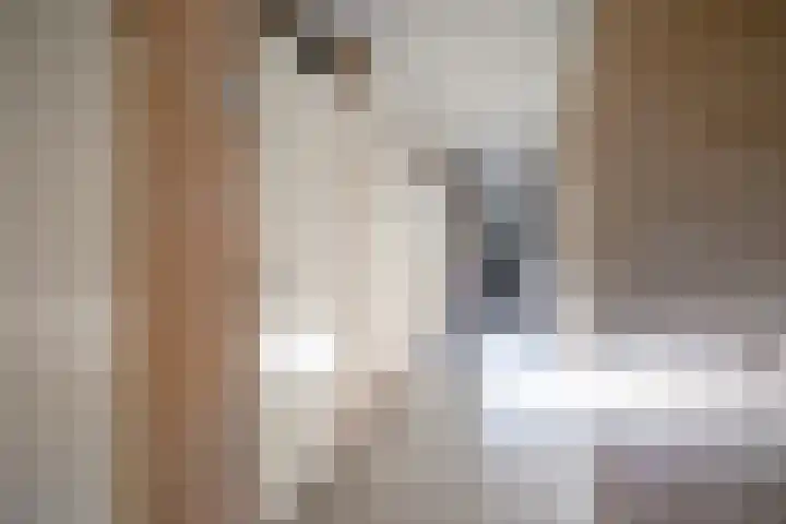 Molenbeemden 26 Veghel thumbnail 23