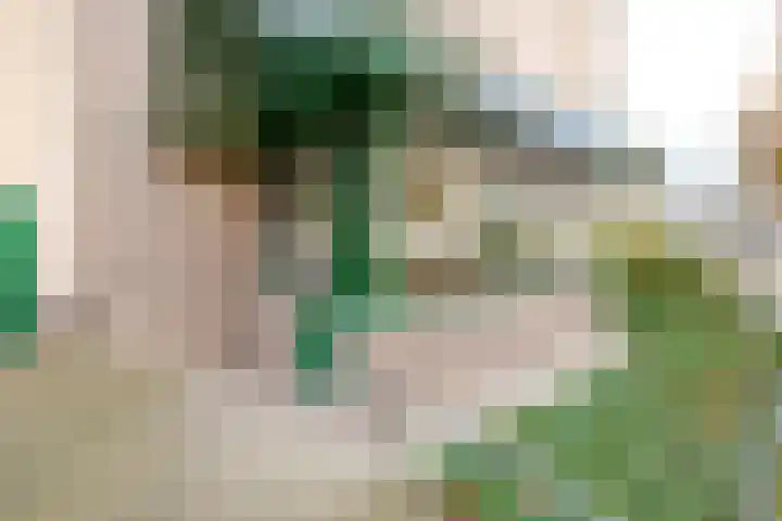 Molenbeemden 26 Veghel thumbnail 27