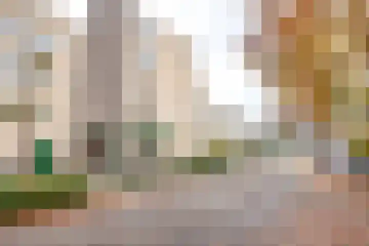 Molenbeemden 26 Veghel thumbnail 29