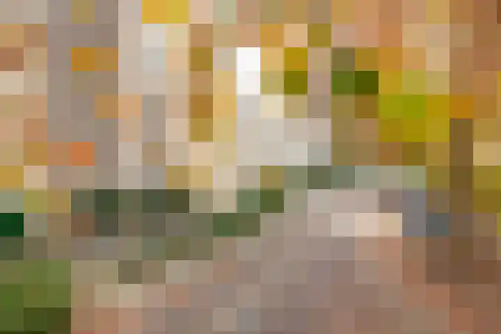 Molenbeemden 26 Veghel thumbnail 30