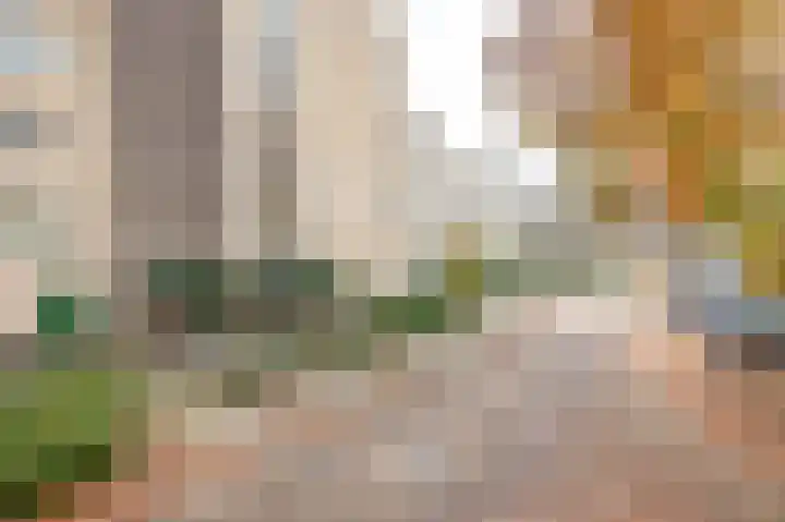 Molenbeemden 26 Veghel thumbnail 31