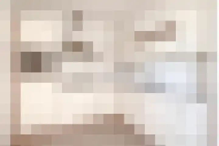 Molenbeemden 26 Veghel thumbnail 7