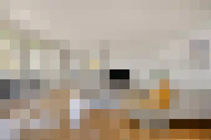 Molenbeemden 40 Veghel thumbnail 13