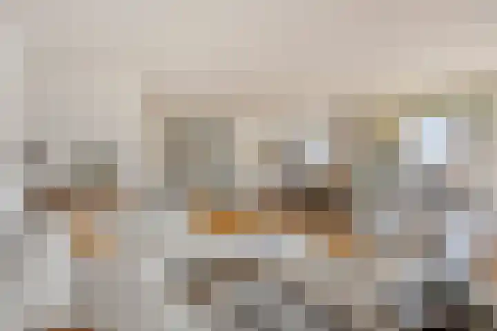Molenbeemden 40 Veghel thumbnail 15