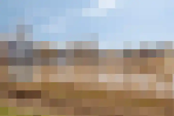 Molenbeemden 40 Veghel thumbnail 32