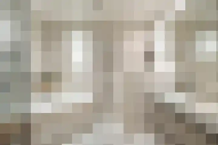 Molenbeemden 40 Veghel thumbnail 6