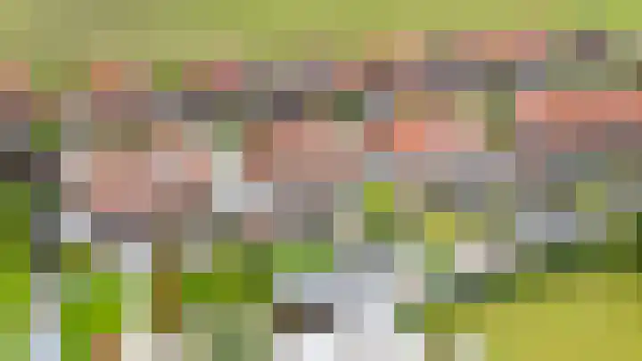 Molenbeemden 40 Veghel thumbnail 7