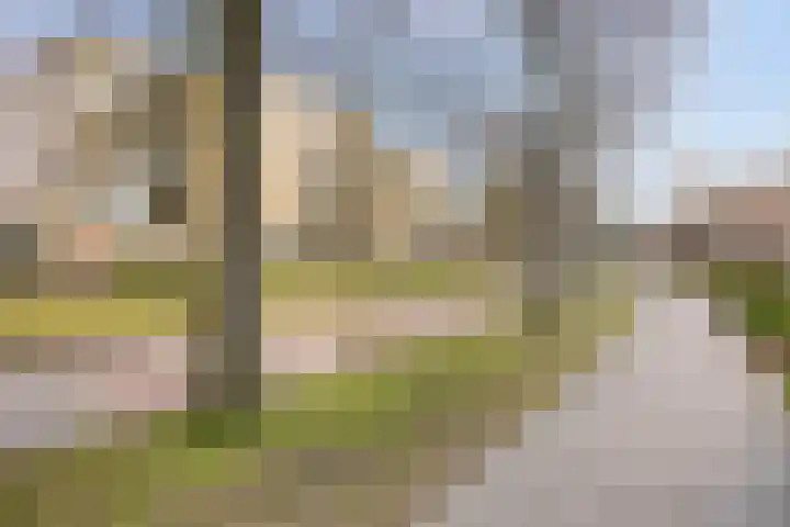 Molenbeemden 40 Veghel thumbnail 8