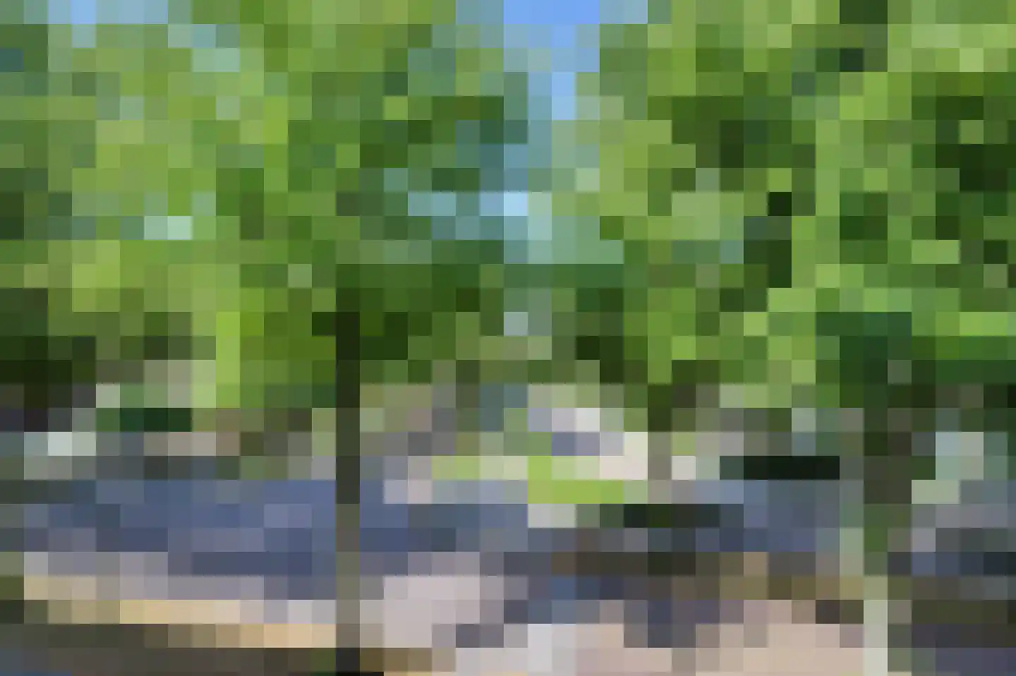 Molenbeemden 42 Veghel thumbnail 13