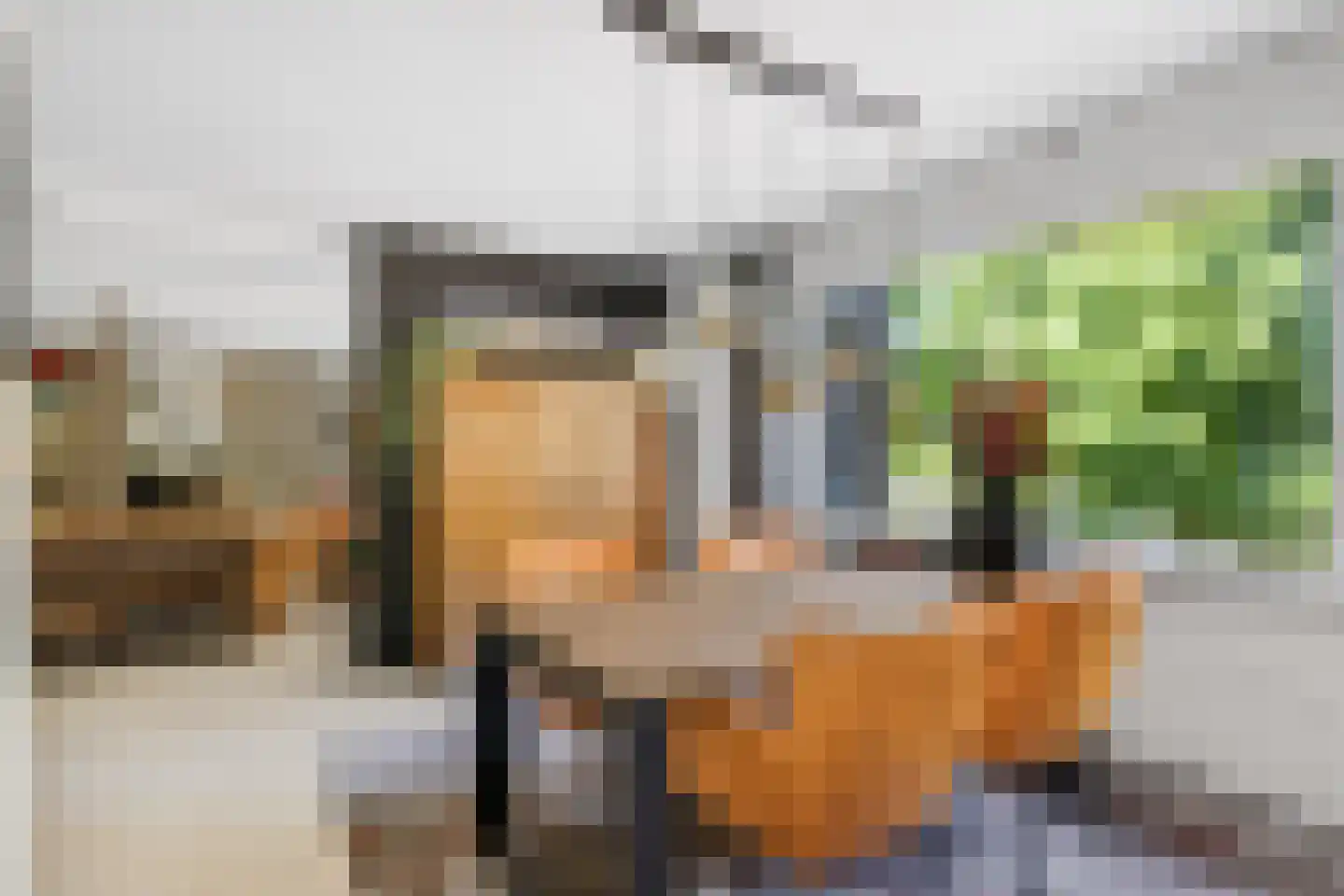 Molenbeemden 42 Veghel thumbnail 18