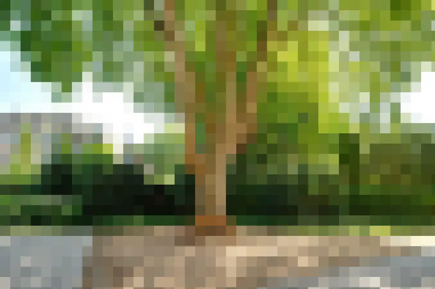 Molenbeemden 42 Veghel thumbnail 37