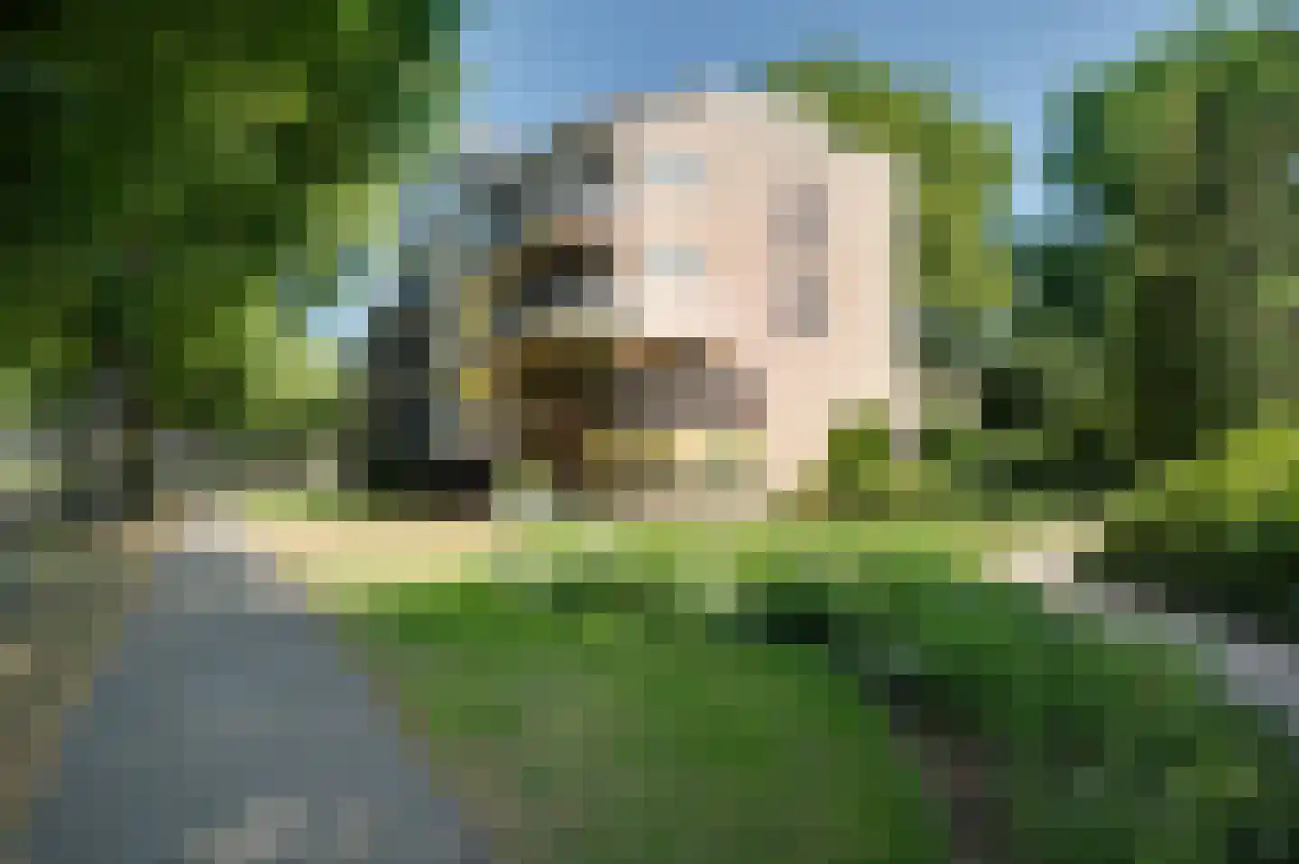 Molenbeemden 42 Veghel thumbnail 42