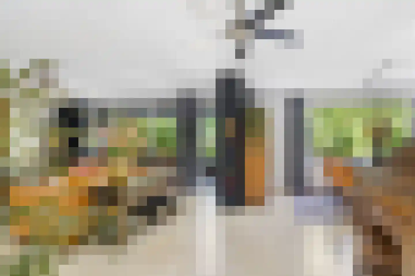 Molenbeemden 42 Veghel thumbnail 6