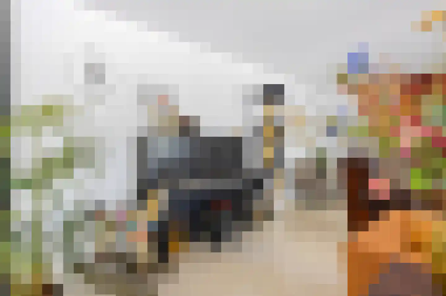 Molenbeemden 42 Veghel thumbnail 9