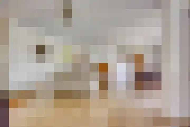 Molenbeemden 46 Veghel thumbnail 13