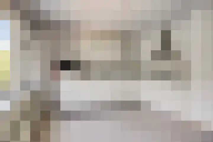 Molenbeemden 46 Veghel thumbnail 20