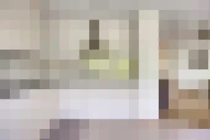 Molenbeemden 46 Veghel thumbnail 22