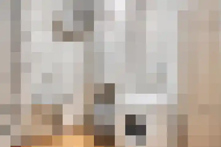 Molenbeemden 46 Veghel thumbnail 32