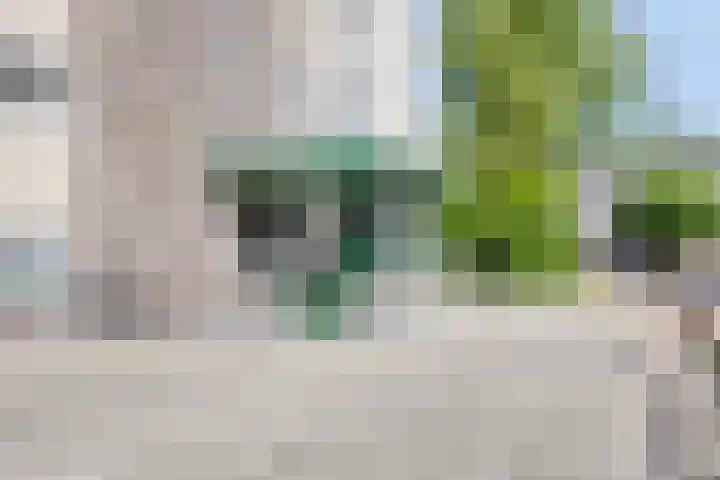 Molenbeemden 46 Veghel thumbnail 39