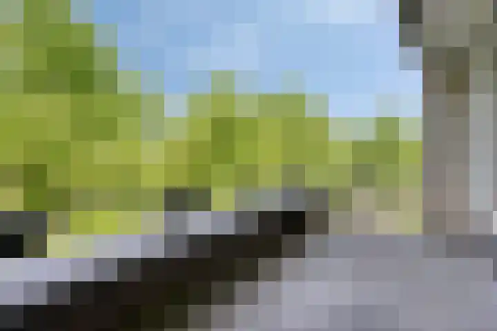 Molenbeemden 46 Veghel thumbnail 4