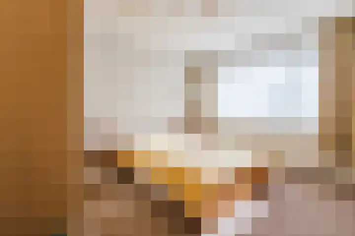Molenbelt 1 Lochem thumbnail 15