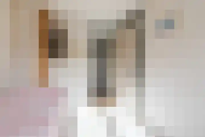 Molenbelt 1 Lochem thumbnail 21