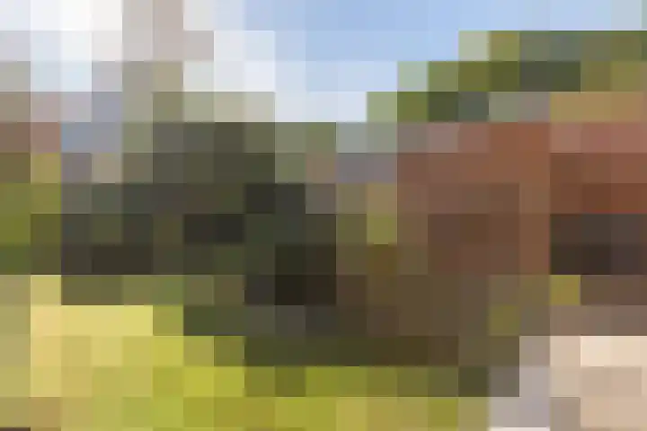Molenbelt 1 Lochem thumbnail 29