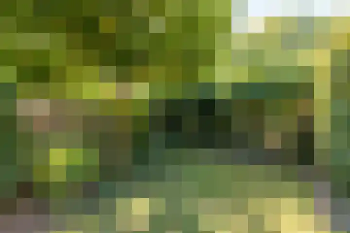 Molenbelt 1 Lochem thumbnail 30