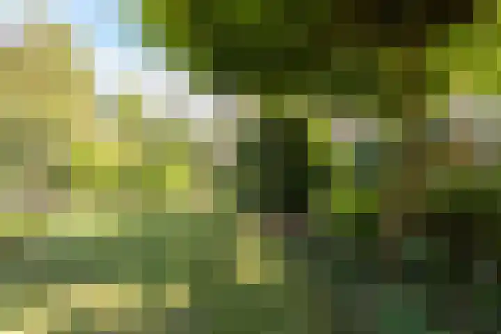 Molenbelt 1 Lochem thumbnail 31