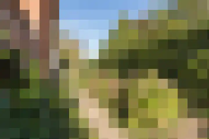 Molenbelt 1 Lochem thumbnail 34