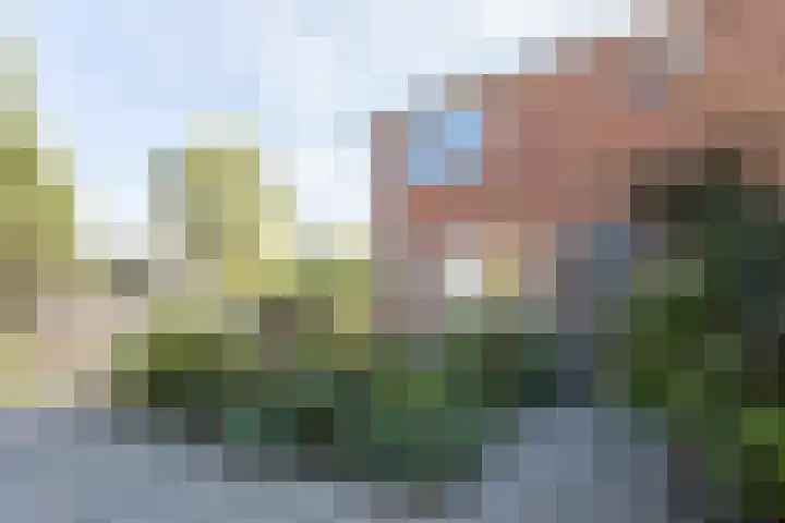 Molenbelt 1 Lochem thumbnail 36