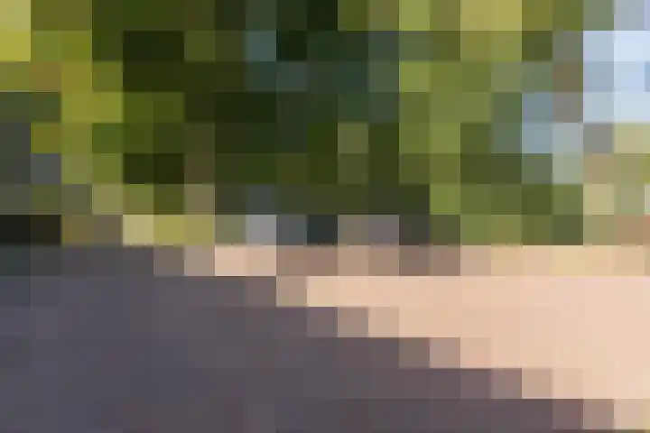 Molenbelt 1 Lochem thumbnail 38