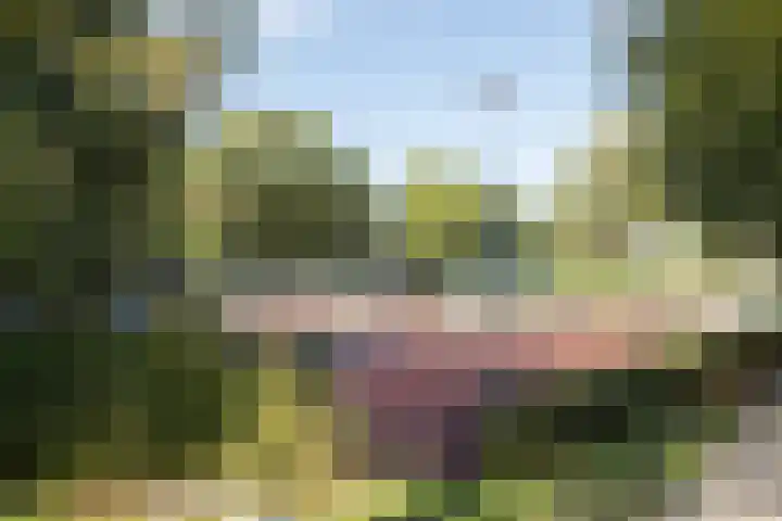 Molenbelt 1 Lochem thumbnail 39