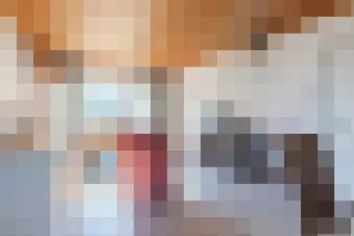 Molenbelt 1 Lochem thumbnail 4