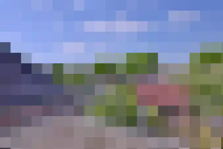 Molenbelt 13 Deventer thumbnail 21