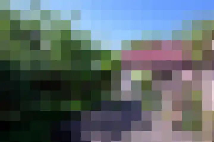 Molenbelt 13 Deventer thumbnail 25