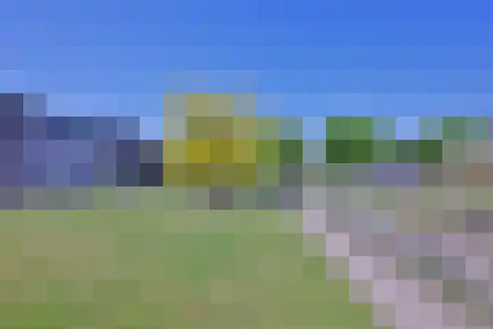 Molenbelt 13 Deventer thumbnail 32