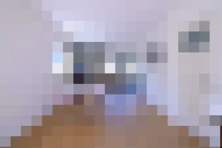 Molenbelt 13 Deventer thumbnail 6