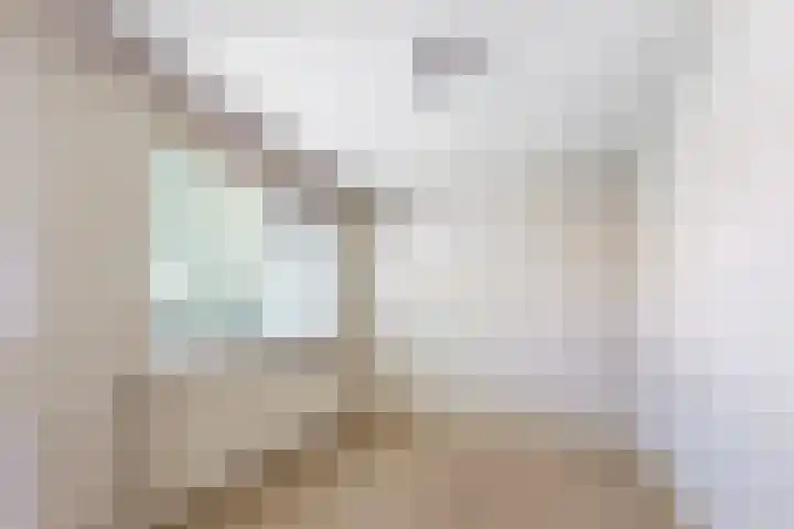 Molenbelt 15 Lochem thumbnail 15