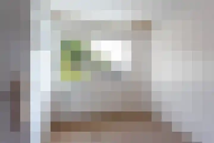 Molenbelt 15 Lochem thumbnail 17