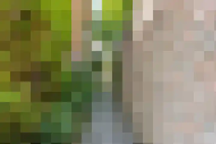 Molenbelt 15 Lochem thumbnail 22