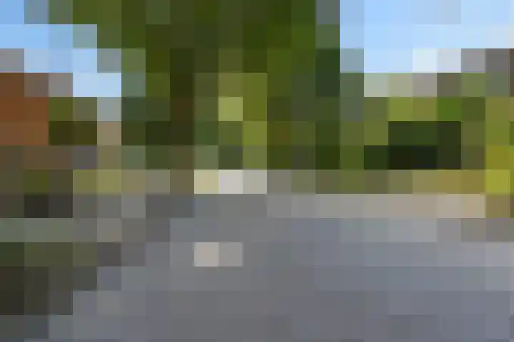 Molenbelt 15 Lochem thumbnail 23
