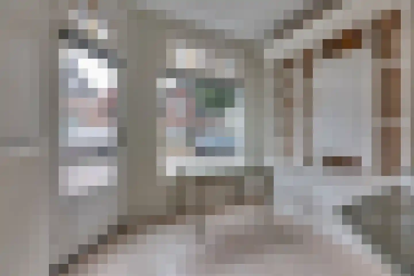 Molenbelt 2 Deventer thumbnail 16