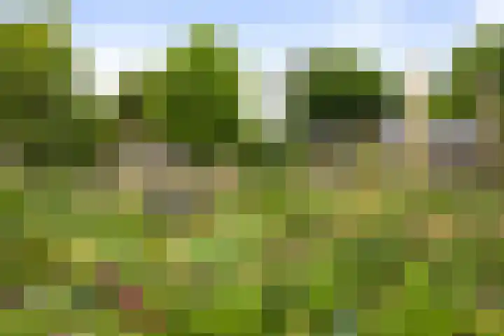 Molenbelt 32 Deventer thumbnail 33