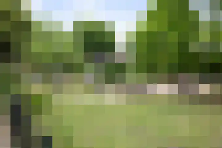 Molenbelt 32 Deventer thumbnail 34