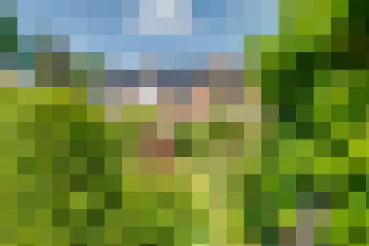 Molenbelt 53 Lochem thumbnail 22