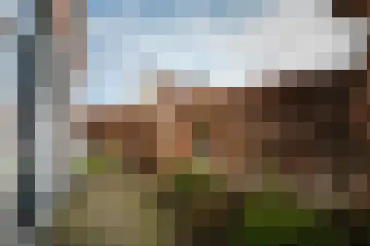 Molenbelt 63 Deventer thumbnail 62