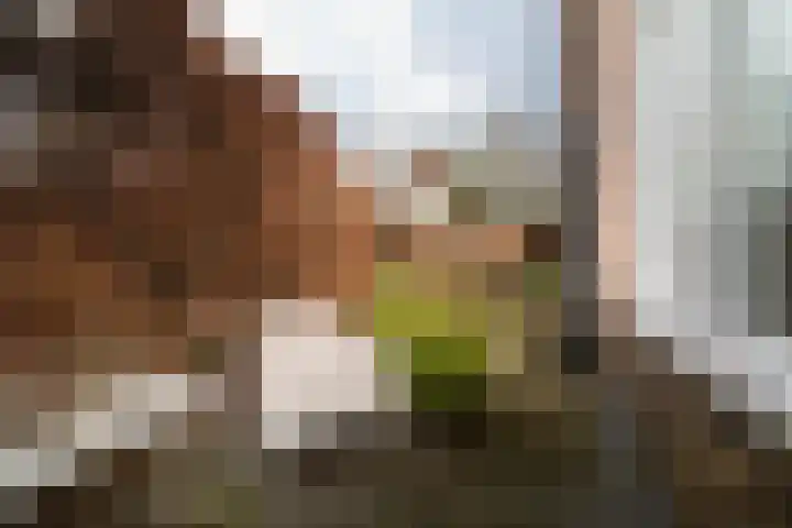 Molenbelt 63 Deventer thumbnail 64