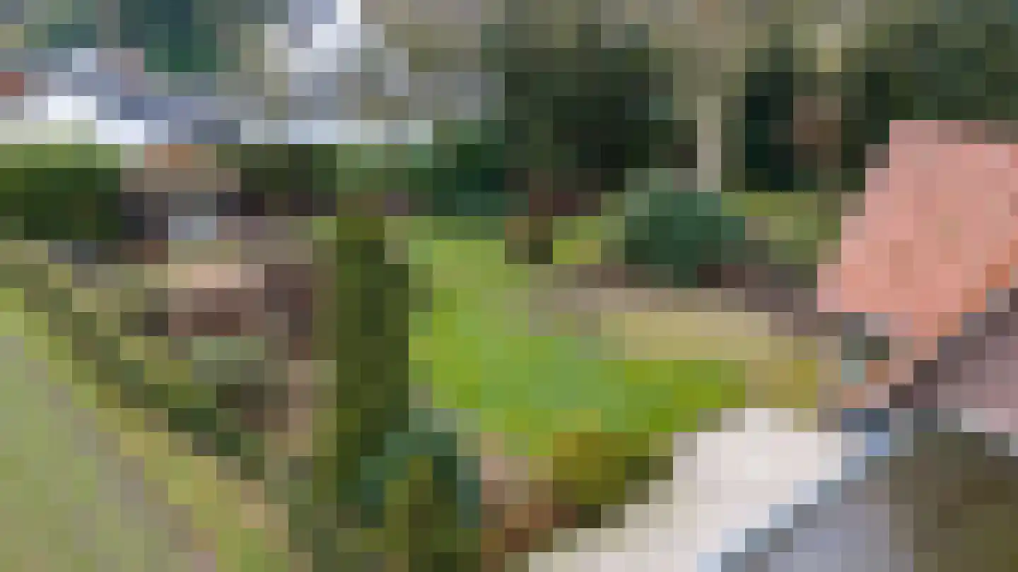 Molenbelterweg 19 Holten thumbnail 25