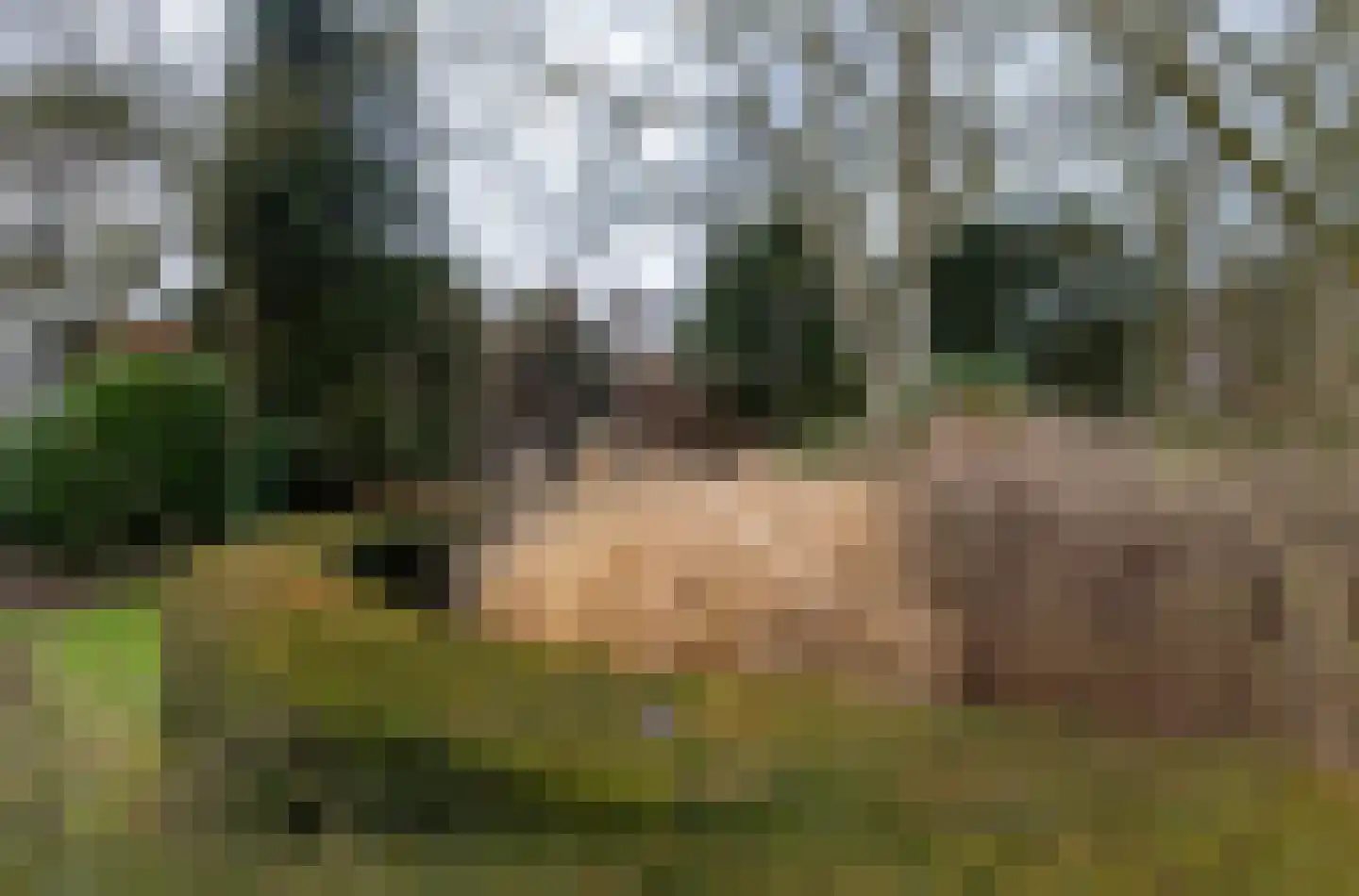 Molenbelterweg 19 Holten thumbnail 32